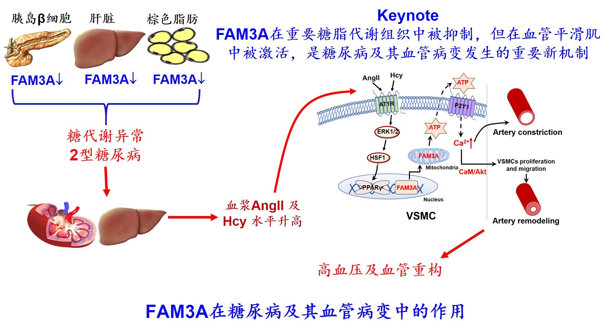 fec8dfa920ac46c68c6c62e32f15f7a5.jpg