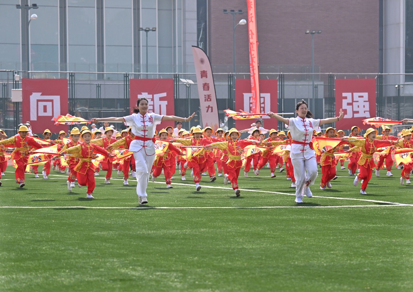 d89613152cb1473ab64d339fe163faa5.jpg
